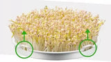 Bear Bean Sprouts Machine DYJ-S6365, Fully Automatic Double-layer Design