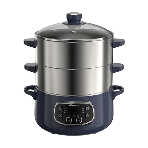 Multi-Purpose Electric Steamer 24CM DZG-D80J4