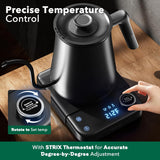 Gooseneck Electric Kettle, Temp Control, 1200W Fast Heat, Keep Warm, 0.8L for Coffee & Tea KFJ-D10Z1