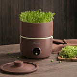 Bear Automatic Bean Sprouts Maker, DYJ-B01C1 Purple Clay Seed Sprouting Kit with Germination Container, Automatic Watering