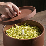 Bear Automatic Bean Sprouts Maker, DYJ-B01C1 Purple Clay Seed Sprouting Kit with Germination Container, Automatic Watering