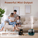 Bear Humidifier JSQ-F50D2 5L